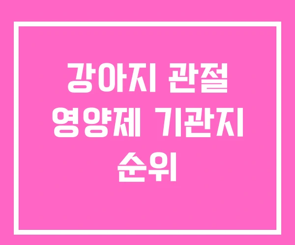 강아지 관절 영양제 기관지 순위