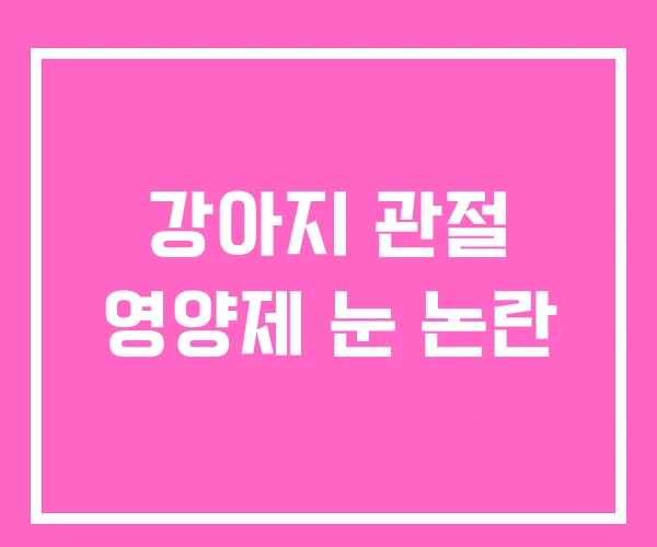 강아지 관절 영양제 눈 논란 강아지 관절 영양제 눈 논란
