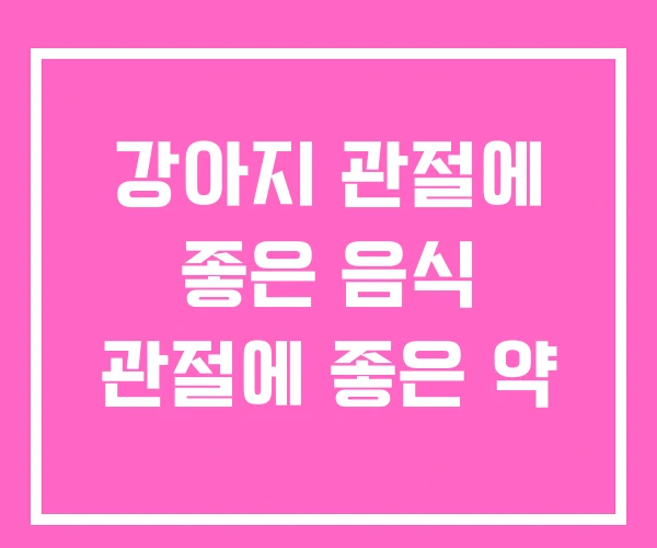 강아지 관절에 좋은 음식 관절에 좋은 약 강아지 관절에 좋은 음식 관절에 좋은 약