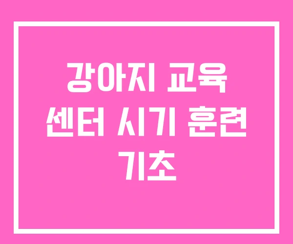 강아지 교육 센터 시기 훈련 기초 강아지 교육 센터 시기 훈련 기초