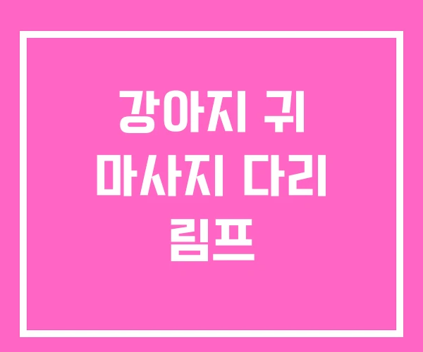 강아지 귀 마사지 다리 림프 강아지 귀 마사지 다리 림프