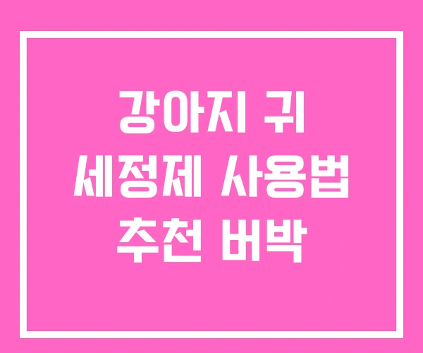 강아지 귀 세정제 사용법 추천 버박