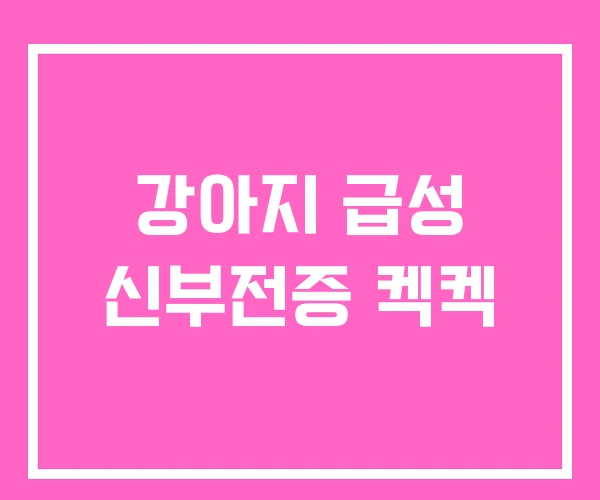 강아지 급성 신부전증 켁켁