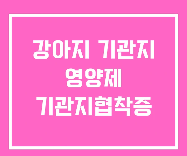 강아지 기관지 영양제 기관지협착증 강아지 기관지 영양제 기관지협착증