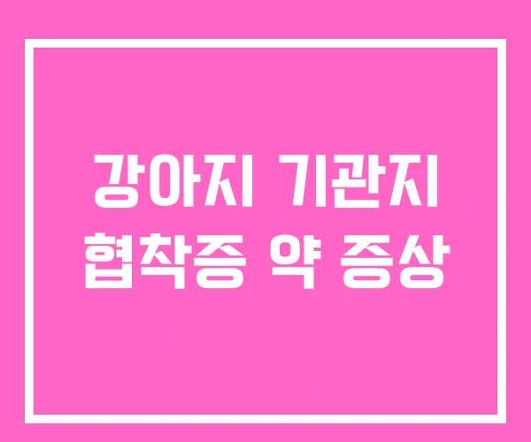 강아지 기관지 협착증 약 증상 강아지 기관지 협착증 약 증상