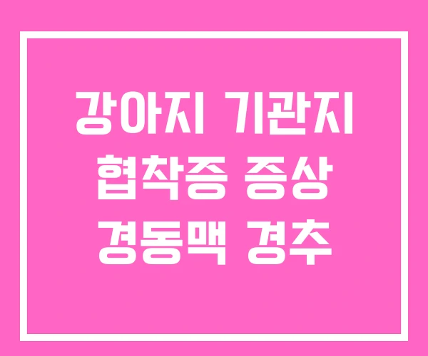 강아지 기관지 협착증 증상 경동맥 경추 강아지 기관지 협착증 증상 경동맥 경추