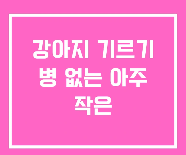 강아지 기르기 병 없는 아주 작은 강아지 기르기 병 없는 아주 작은