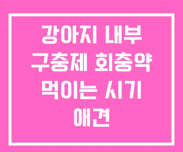 강아지 내부 구충제 회충약 먹이는 시기 애견