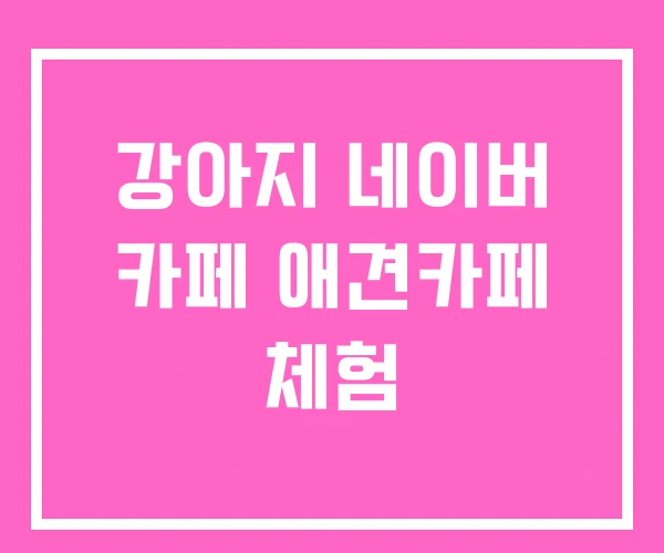 강아지 네이버 카페 애견카페 체험 강아지 네이버 카페 애견카페 체험