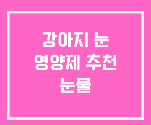 강아지 눈 영양제 추천 눈물 강아지 눈 영양제 추천 눈물