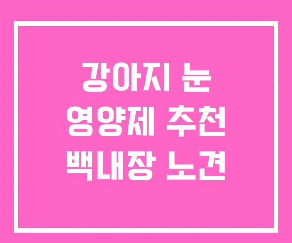 강아지 눈 영양제 추천 백내장 노견