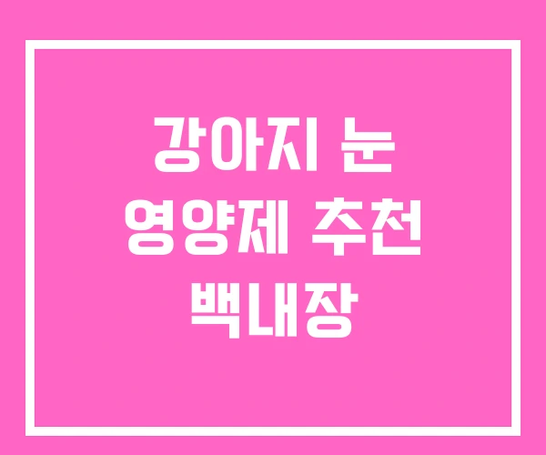 강아지 눈 영양제 추천 백내장 강아지 눈 영양제 추천 백내장
