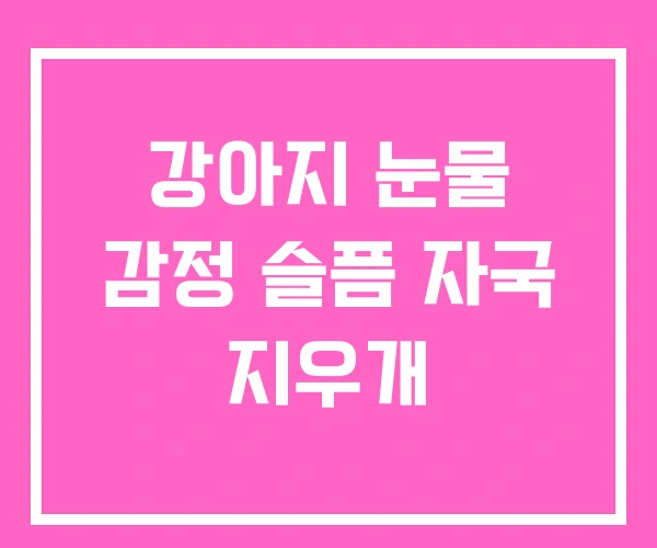 강아지 눈물 감정 슬픔 자국 지우개 강아지 눈물 감정 슬픔 자국 지우개