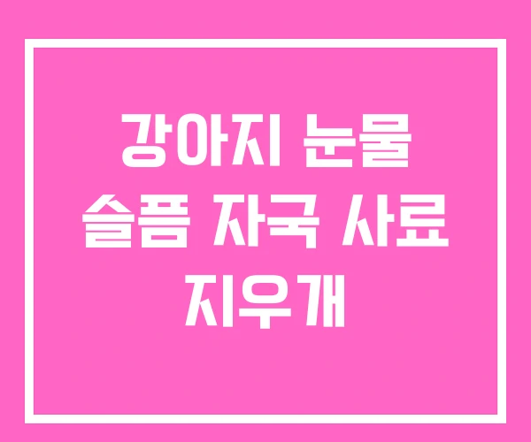 강아지 눈물 슬픔 자국 사료 지우개