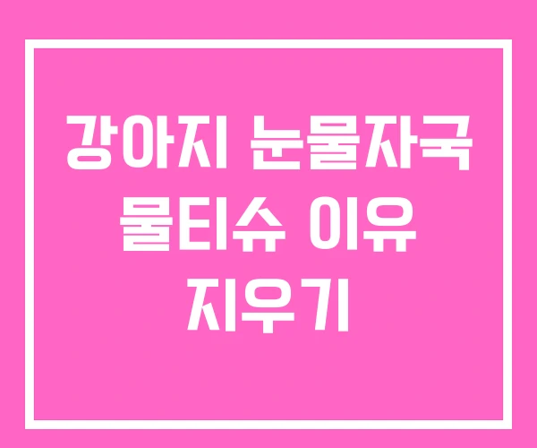 강아지 눈물자국 물티슈 이유 지우기 강아지 눈물자국 물티슈 이유 지우기