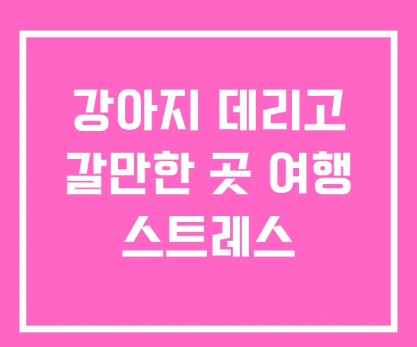 강아지 데리고 갈만한 곳 여행 스트레스