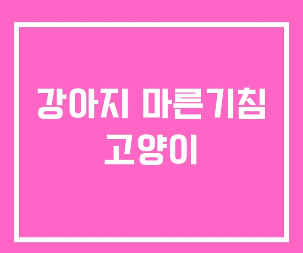 강아지 마른기침 고양이