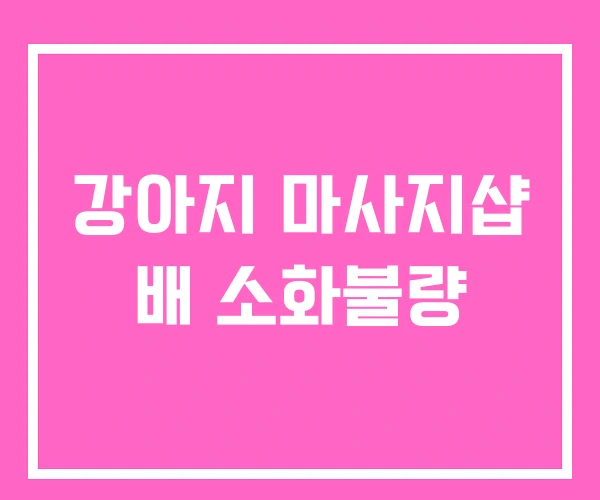 강아지 마사지샵 배 소화불량
