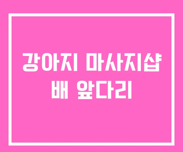 강아지 마사지샵 배 앞다리 강아지 마사지샵 배 앞다리