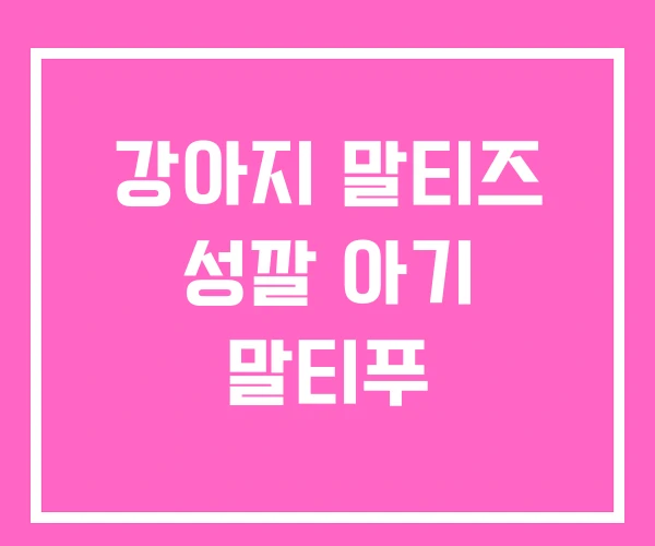 강아지 말티즈 성깔 아기 말티푸