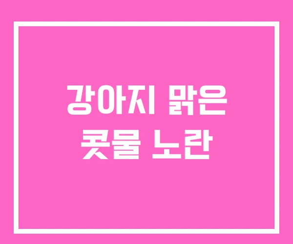 강아지 맑은 콧물 노란