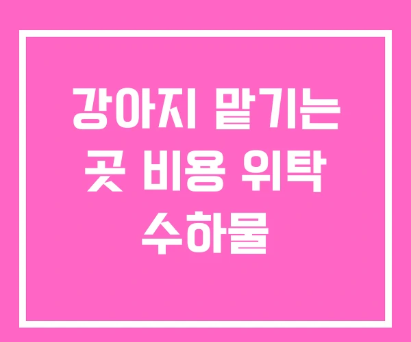 강아지 맡기는 곳 비용 위탁 수하물