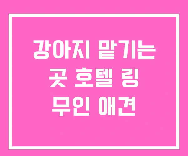 강아지 맡기는 곳 호텔 링 무인 애견 강아지 맡기는 곳 호텔 링 무인 애견