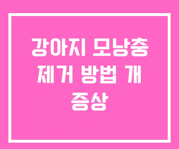 강아지 모낭충 제거 방법 개 증상 강아지 모낭충 제거 방법 개 증상