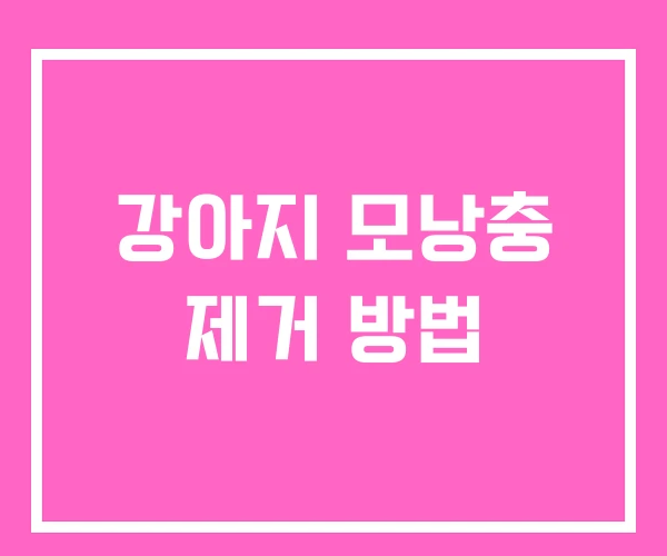 강아지 모낭충 제거 방법 강아지 모낭충 제거 방법