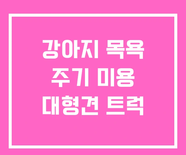 강아지 목욕 주기 미용 대형견 트럭