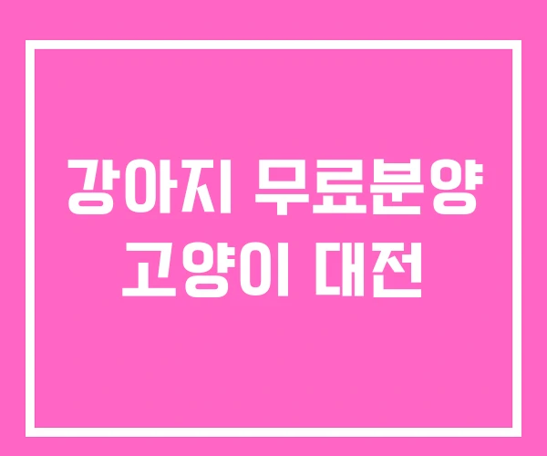 강아지 무료분양 고양이 대전