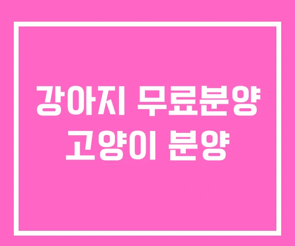 강아지 무료분양 고양이 분양 강아지 무료분양 고양이 분양