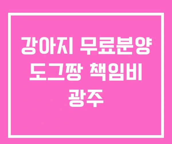 강아지 무료분양 도그짱 책임비 광주 강아지 무료분양 도그짱 책임비 광주