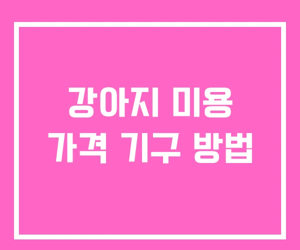 강아지 미용 가격 기구 방법 강아지 미용 가격 기구 방법