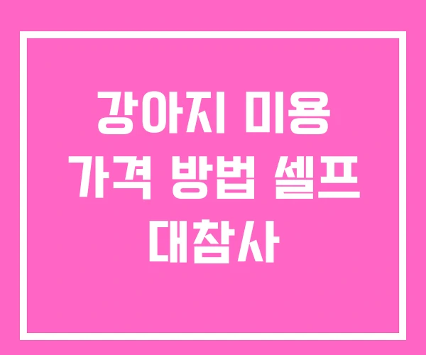 강아지 미용 가격 방법 셀프 대참사