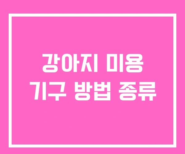 강아지 미용 기구 방법 종류 강아지 미용 기구 방법 종류