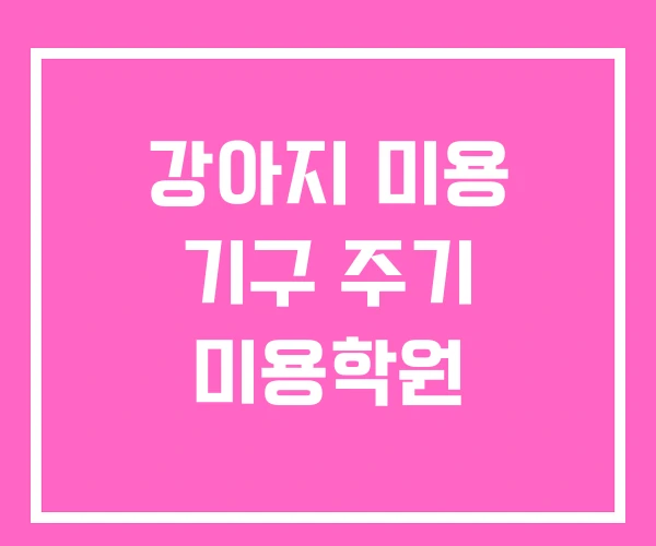 강아지 미용 기구 주기 미용학원