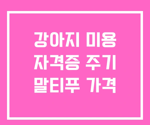 강아지 미용 자격증 주기 말티푸 가격 강아지 미용 자격증 주기 말티푸 가격