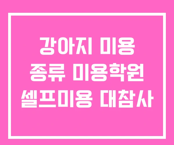 강아지 미용 종류 미용학원 셀프미용 대참사