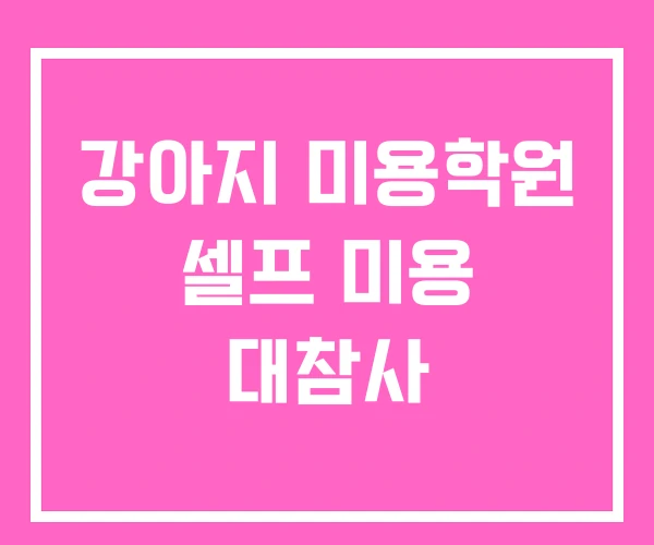 강아지 미용학원 셀프 미용 대참사 강아지 미용학원 셀프 미용 대참사
