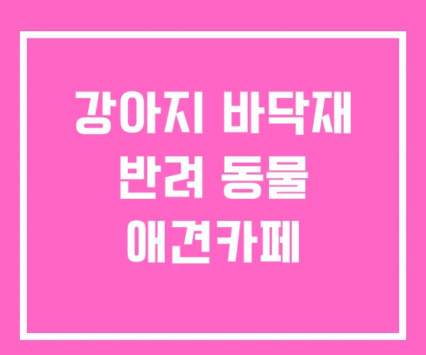 강아지 바닥재 반려 동물 애견카페 강아지 바닥재 반려 동물 애견카페
