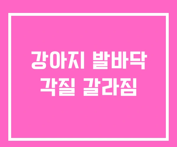 강아지 발바닥 각질 갈라짐