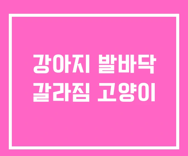 강아지 발바닥 갈라짐 고양이