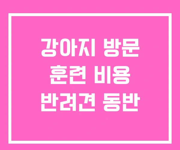 강아지 방문 훈련 비용 반려견 동반