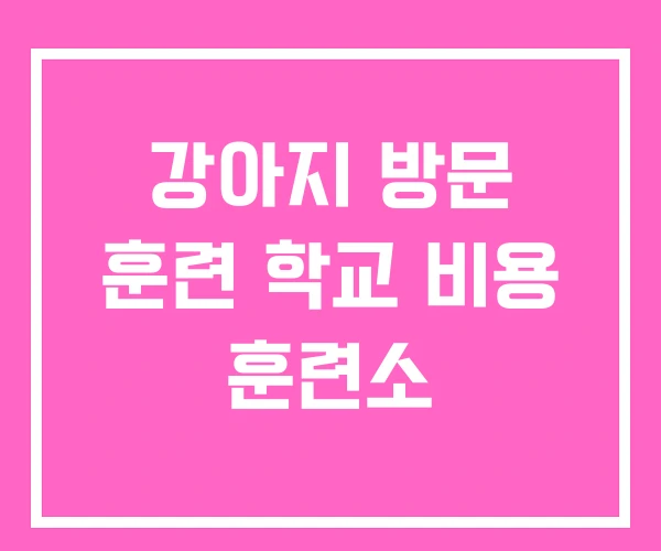 강아지 방문 훈련 학교 비용 훈련소