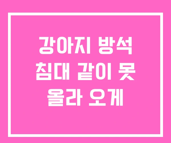 강아지 방석 침대 같이 못 올라 오게 강아지 방석 침대 같이 못 올라 오게
