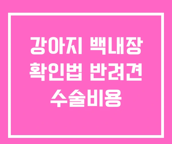 강아지 백내장 확인법 반려견 수술비용 강아지 백내장 확인법 반려견 수술비용