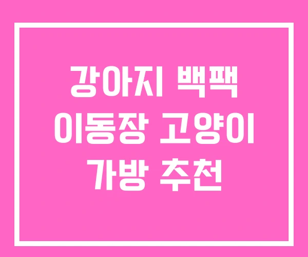 강아지 백팩 이동장 고양이 가방 추천