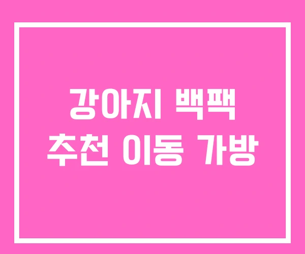 강아지 백팩 추천 이동 가방