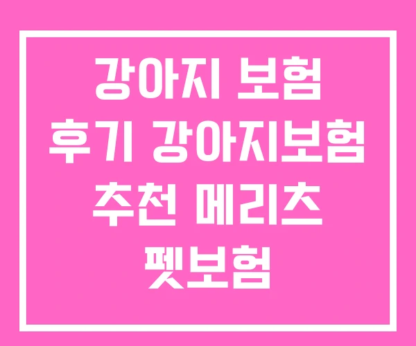 강아지 보험 후기 강아지보험 추천 메리츠 펫보험 강아지 보험 후기 강아지보험 추천 메리츠 펫보험